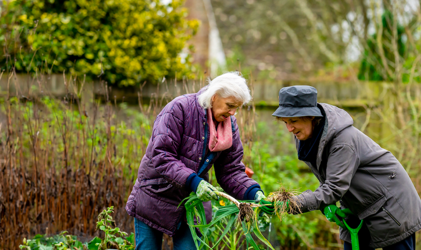 Planning for Retirement With Calendar